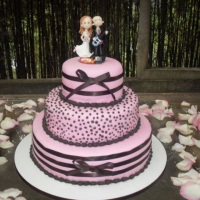 casamento , 15 anos