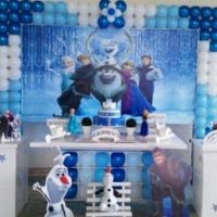 Festa Frozen