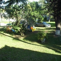 area verde