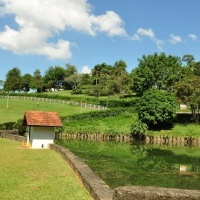 Lago 8)