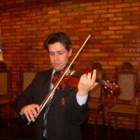 Violino