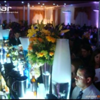 Stand Bar Bartenders