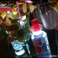 Stand Bar Bartenders
