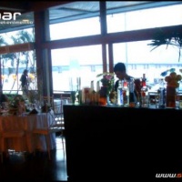Stand Bar Bartenders