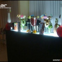 Stand Bar Bartenders