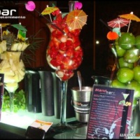 Stand Bar Bartenders
