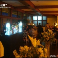 Stand Bar Bartenders