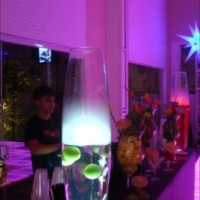 Stand Bar Bartenders