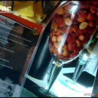 Stand Bar Bartenders