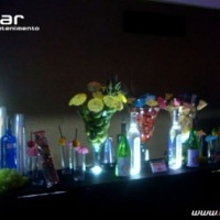 Stand Bar Bartenders