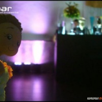 Stand Bar Bartenders