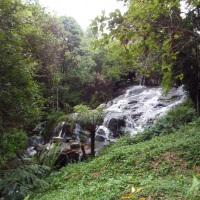 Àrea verde para passeio