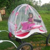 CARUAGEM DE PRINCESINHA
