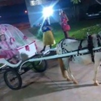 CARRUAGEM DE PRINCESINHA