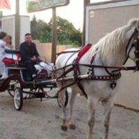 CASAMENTO