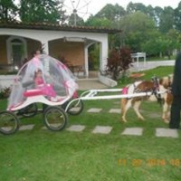 CARRUAGEM DE PRINCEZINHA