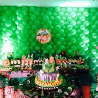 Festa Safari
