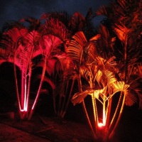 Set light (iluminação decorativa)