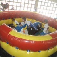 Touro