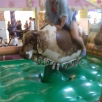 Touro Mecânico