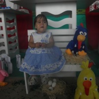 Festa Infantil (Galinha Pintadinha)