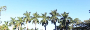 Como encontrar a melhor <b>Casa</b> para eventos 2024
