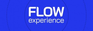 Flow Experience <b>2021</b>: <b>Por</b> dentro do maior evento on-line do país