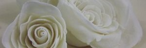 <b><b>Bolo</b>s</b> decorados com flores gum paste