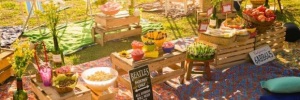 22 <b><b>Dica</b>s</b> para <b>Organizar</b> um Piquenique Cheio de Charme