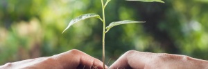 12 <b><b>Dica</b>s</b> para realizar evento mais sustentável